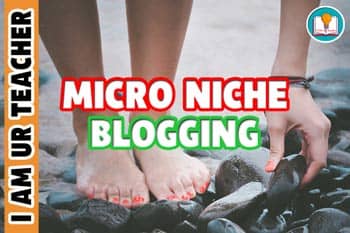 micro-niche blogging